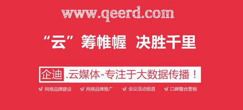 为何八成企业未选择专业建站服务终陷困局？——软件应用服务背后的深度反思