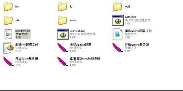 深度解析 如何使用Server110 PHP服务器软件搭建应用服务——详细操作指南
